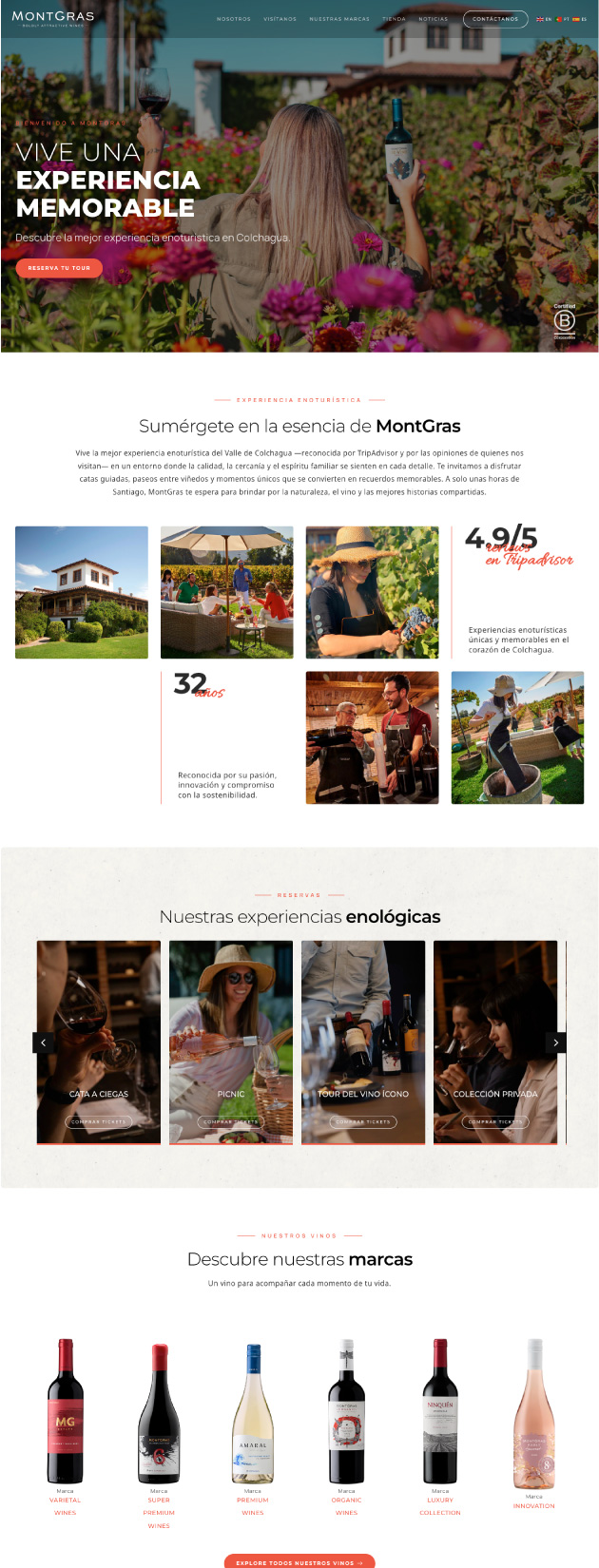 proyecto-web-montgras